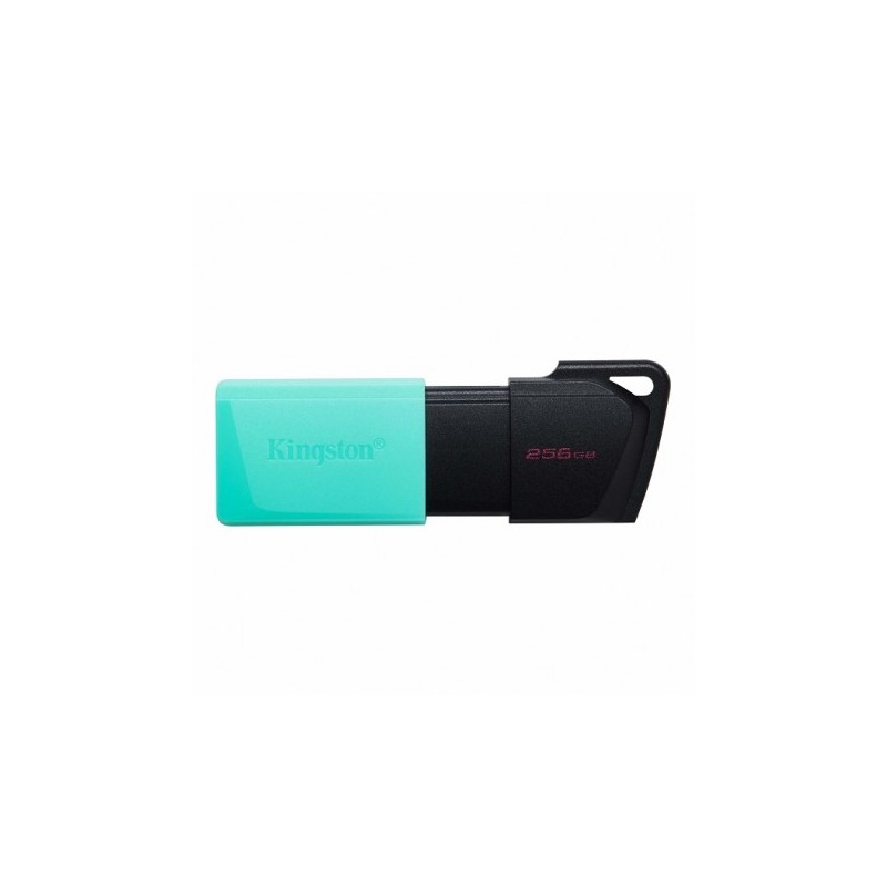 PENDRIVE KINGSTON 256 GB DTXM USB 3.2 GEN1