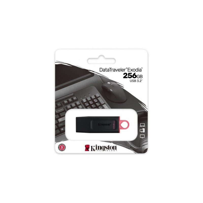 PENDRIVE KINGSTON 256GB DTX USB 3.1/3.2